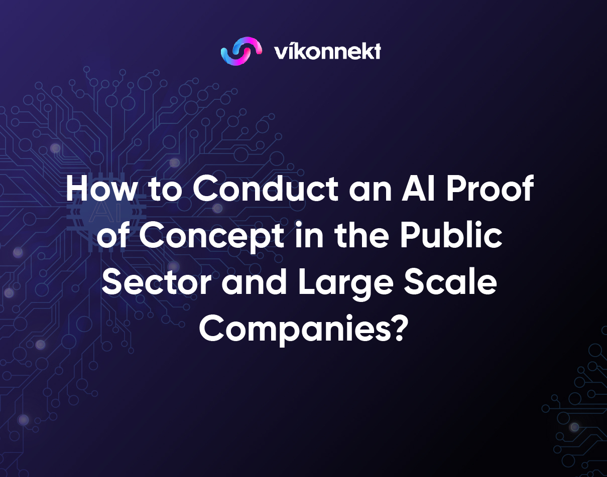 How to Conduct an AI Proof of Concept in the Public Sector and Large Scale Companies?